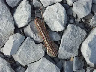 small_041121 thanksgiving etcPICT9933.webp